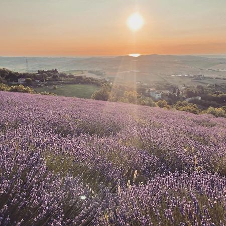 Mombaroccio L'Infinito B&B 외부 사진