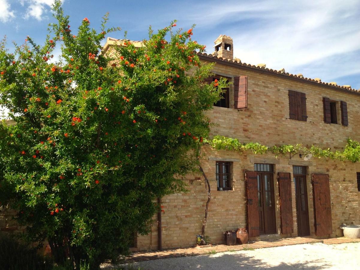 Mombaroccio L'Infinito B&B 외부 사진